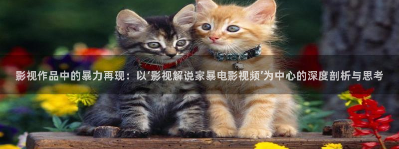 西瓜影院高清在线看