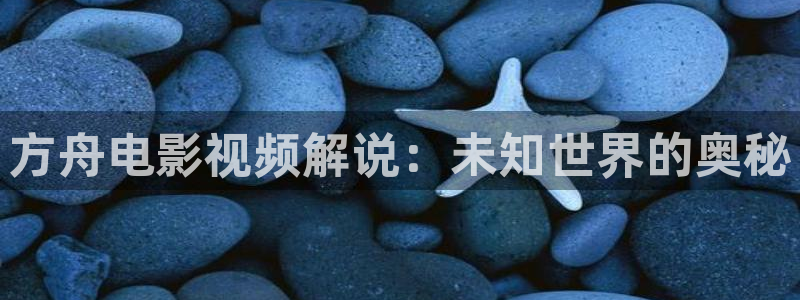瞄准电视剧在线观看免费西瓜影院