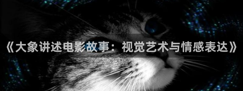西瓜西瓜视频视频：《大象讲述电影故事：视觉艺术与情感表达》