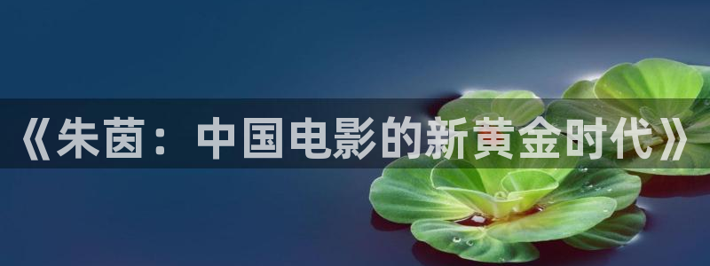 西瓜免费看电影