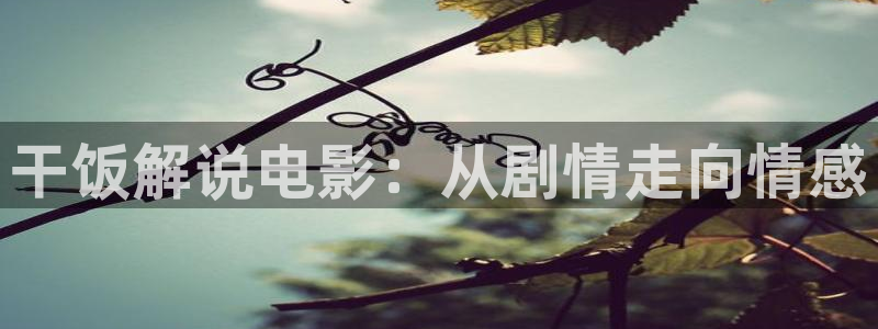 长相思第一季免费观看西瓜影院：干饭解说电影：从剧情走向情感