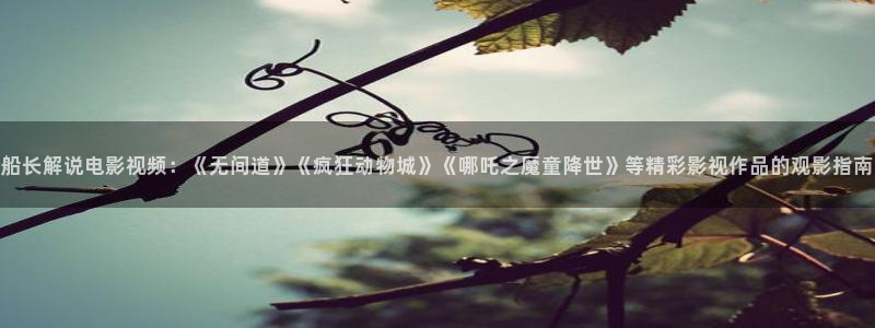 琅琊榜在线观看西瓜影院