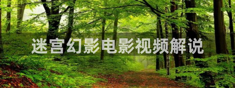 西瓜影院在线影音：迷宫幻影电影视频解说