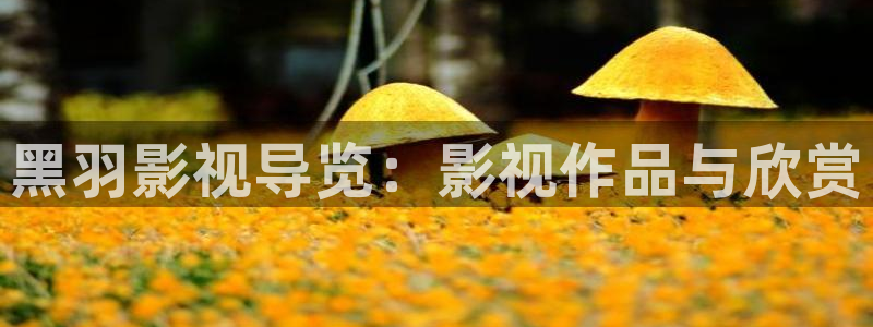 妈妈的朋友免费观看西瓜：黑羽影视导览：影视作品与欣赏