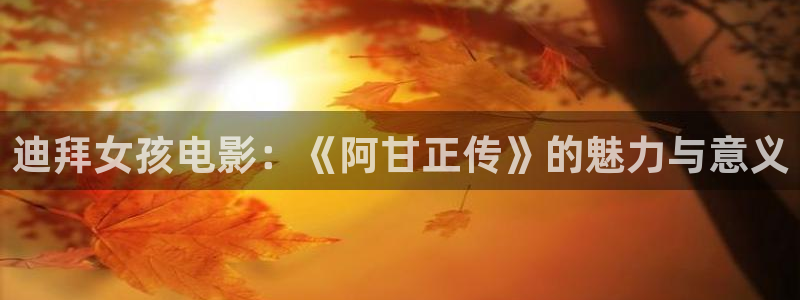 驻站电视剧免费播放在线观看西瓜：迪拜女孩电影：《阿甘正传》的魅力与意义