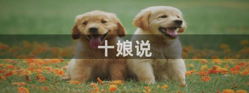 神马西瓜免费电影：十娘说