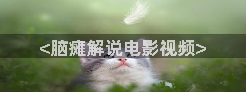 西瓜影院免费电影：<脑瘫解说电影视频>