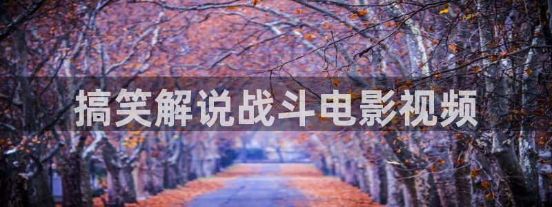 西瓜电影泽艺：搞笑解说战斗电影视频