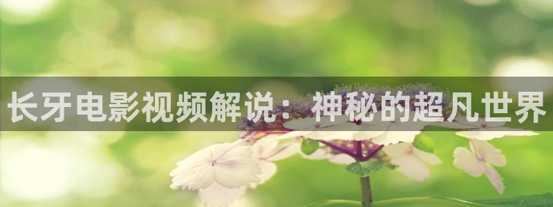 爱有来生在线观看免费完整版西瓜：长牙电影视频解说：神秘的超凡世界