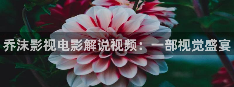 西瓜视频旧：乔沫影视电影解说视频：一部视觉盛宴