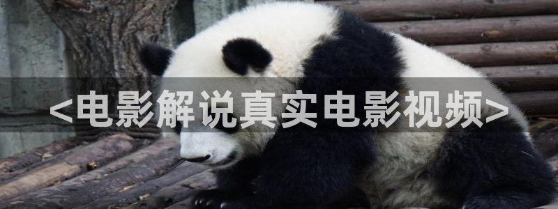 西瓜影院电影在线观看：<电影解说真实电影视频>