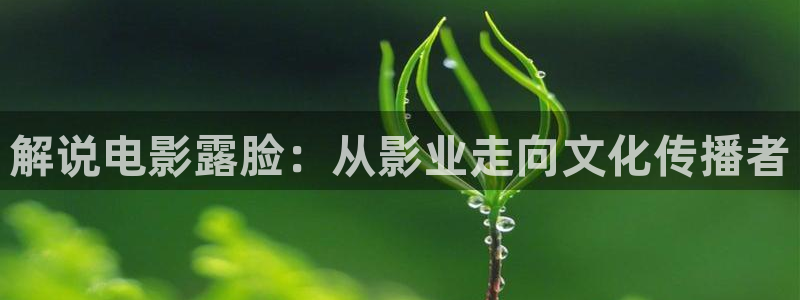 无证之罪免费观看西瓜：解说电影露脸：从影业走向文化传播者