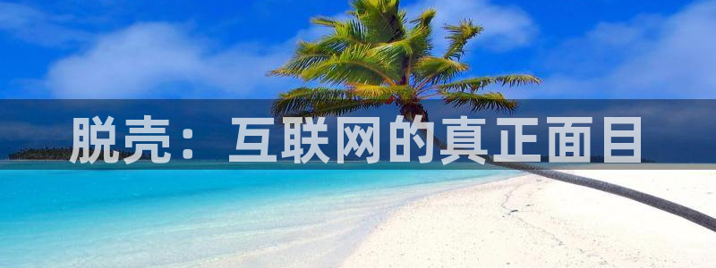 特大西瓜：脱壳：互联网的真正面目