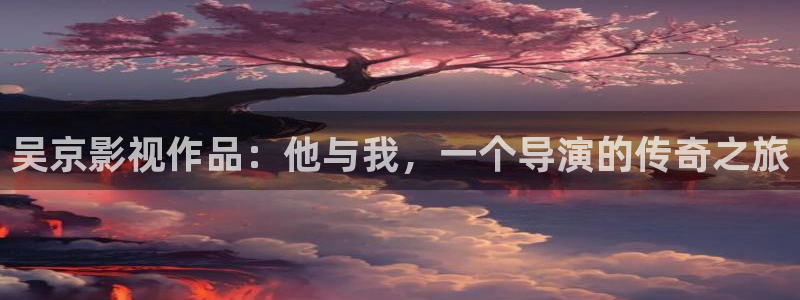 西瓜 电影：吴京影视作品：他与我，一个导演的传奇之旅