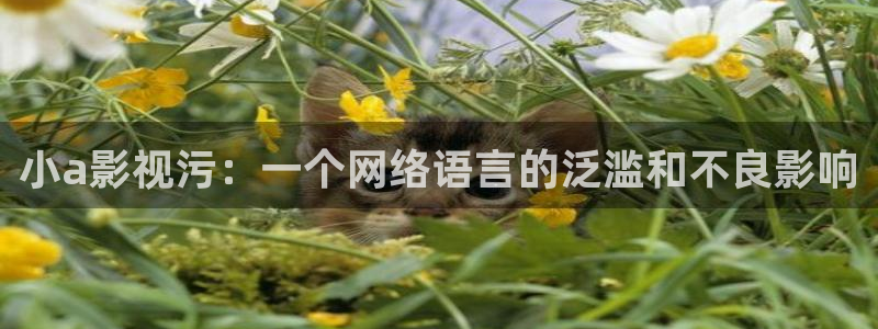 武汉 西瓜