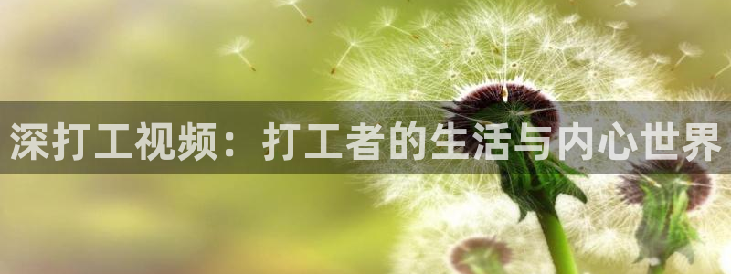 西瓜湖北省：深打工视频：打工者的生活与内心世界