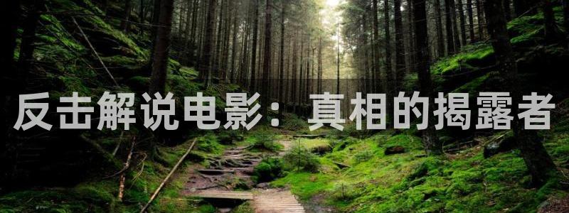 西瓜电影院高清在线播放：反击解说电影：真相的揭露者