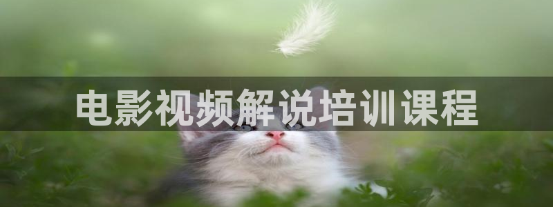 光棍影院西瓜影院：电影视频解说培训课程
