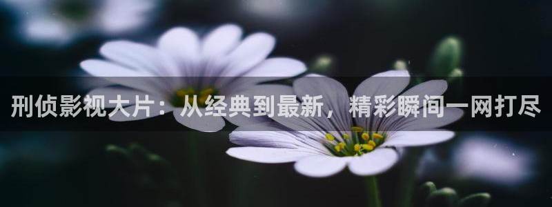 买西瓜图片