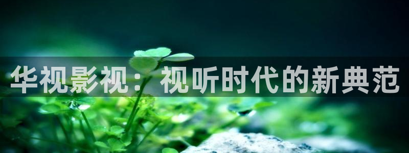 韩国三级西瓜影院：华视影视：视听时代的新典范