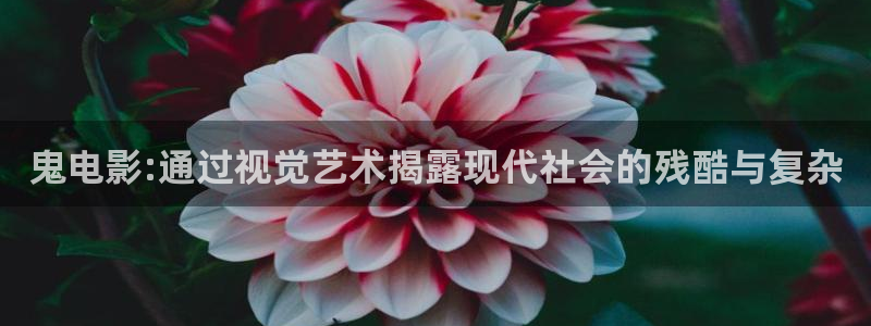 闪亮的西瓜 在线：鬼电影:通过视觉艺术揭露现代社会的残酷与复杂