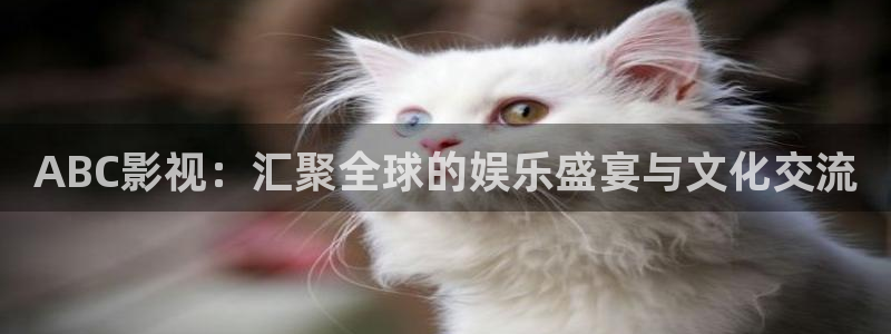 西瓜电影院在线免费观看