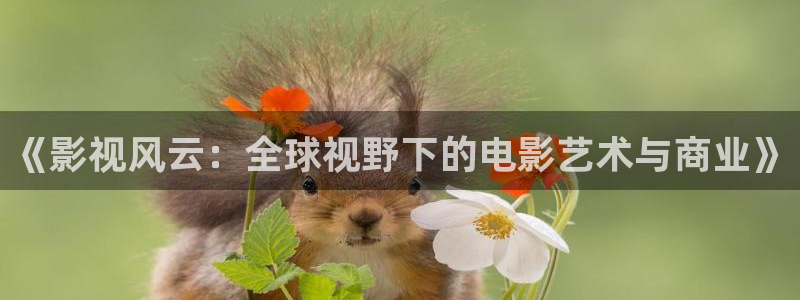 新妈妈西瓜影院：《影视风云：全球视野下的电影艺术与商业》