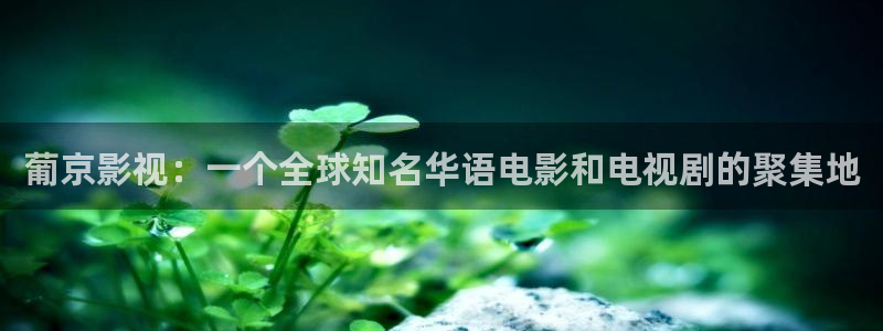 洛宁西瓜：葡京影视：一个全球知名华语电影和电视剧的聚集地