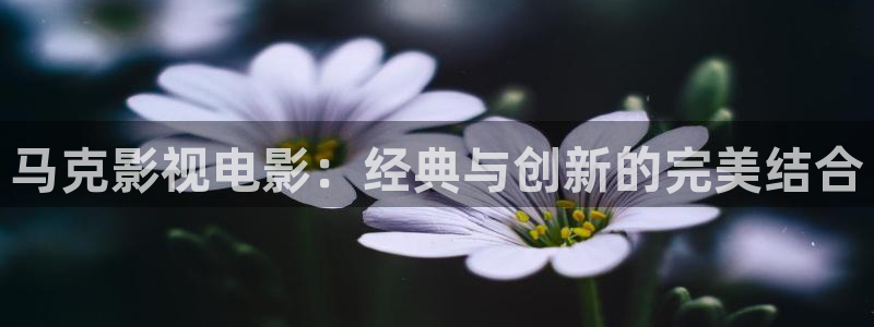 流浪地球2西瓜影院：马克影视电影：经典与创新的完美结合