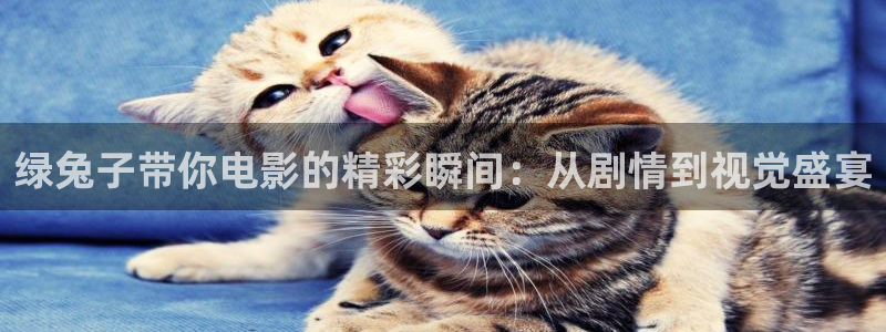 西瓜影院理论片日本电影：绿兔子带你电影的精彩瞬间：从剧情到视觉盛宴