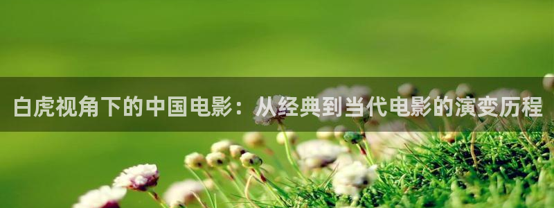 西瓜直播nba免费观看：白虎视角下的中国电影：从经典到当代电影的演变历程