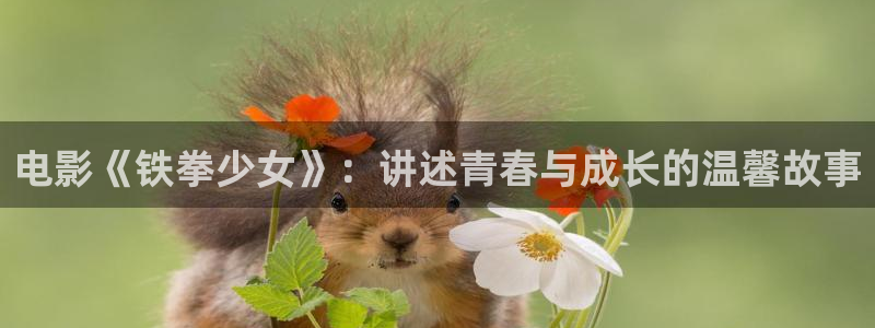 西瓜高清免费观看：电影《铁拳少女》：讲述青春与成长的温馨故事