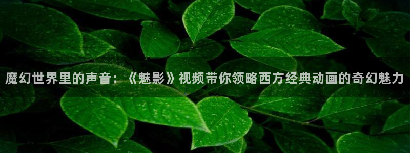 西瓜东台：魔幻世界里的声音：《魅影》视频带你领略西方经典动画的奇幻魅力