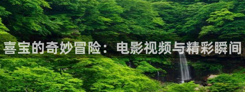 难哄电视剧免费观看西瓜影院：喜宝的奇妙冒险：电影视频与精彩瞬间