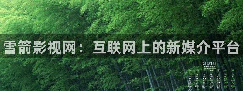 全职法师第七季免费观看全集完整版西瓜：雪箭影视网：互联网上的新媒介平台