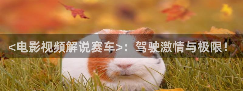 看了又看电视剧西瓜：<电影视频解说赛车>：驾驶激情与极限！