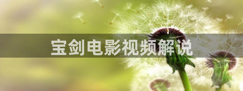 妈妈的朋友2在线西瓜：宝剑电影视频解说