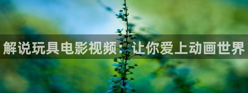 精品西瓜：解说玩具电影视频：让你爱上动画世界