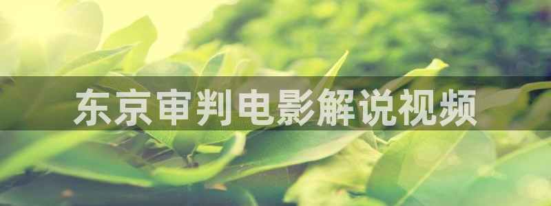 大西瓜视频：东京审判电影解说视频