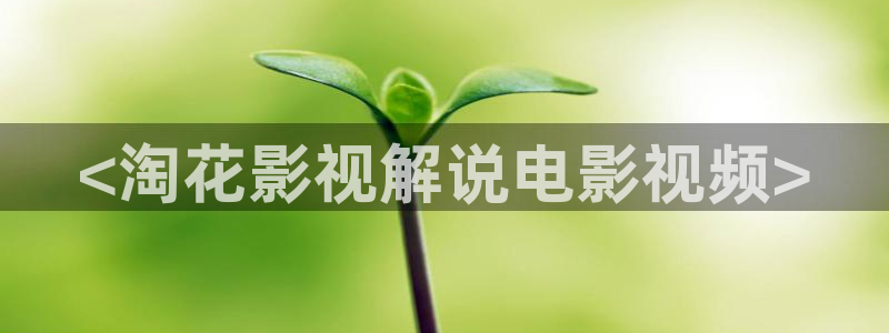 西瓜影院天狼最新电视剧：<淘花影视解说电影视频>