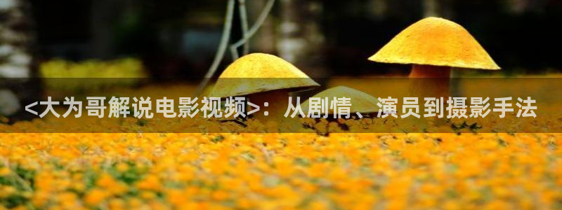 x西瓜影院