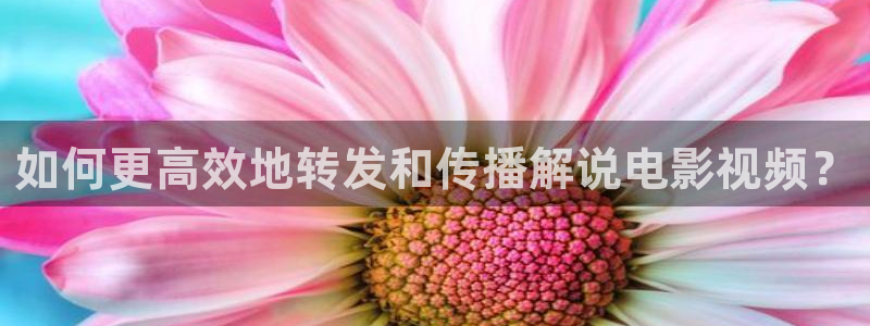 少帅电视剧全集西瓜：如何更高效地转发和传播解说电影视频？