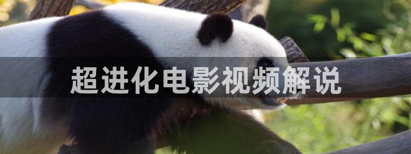 下裁西瓜视频：超进化电影视频解说