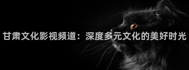 王牌对王牌免费观看西瓜：甘肃文化影视频道：深度多元文化的美好时光