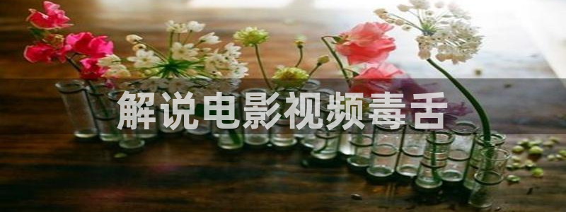 西瓜视频高清在线观看免费：解说电影视频毒舌