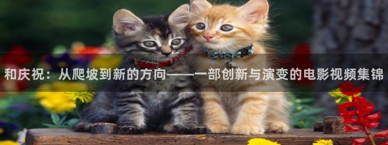 锦衣之下西瓜免费观看：和庆祝：从爬坡到新的方向——一部创新与演变的电影视频集锦