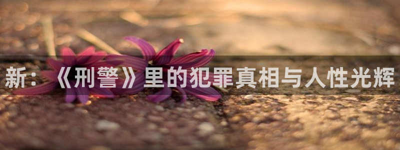 在线观看免费观看西瓜：新：《刑警》里的犯罪真相与人性光辉