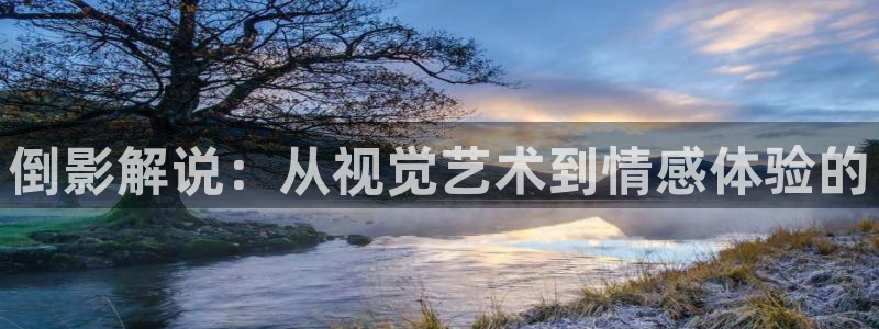 西瓜温州：倒影解说：从视觉艺术到情感体验的