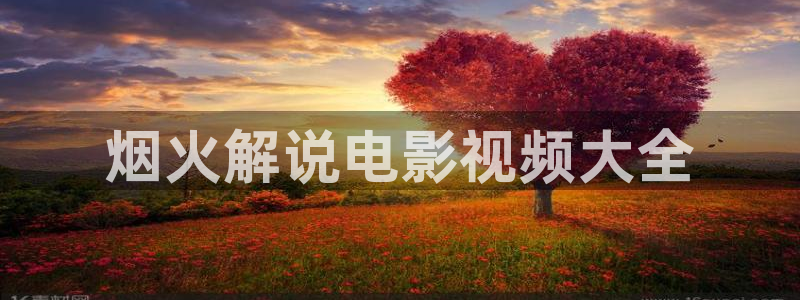 西瓜片子是什么：烟火解说电影视频大全