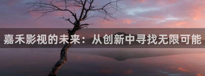 锦绣未央免费观看完整版西瓜：嘉禾影视的未来：从创新中寻找无限可能